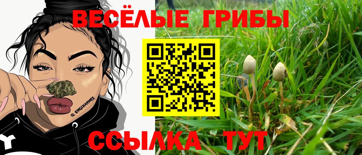 Галлюциногенные грибы прущие грибы  Вход с VPN  Хабаровск  Галлюциногенные грибы MAGIC MUSHROOMS 