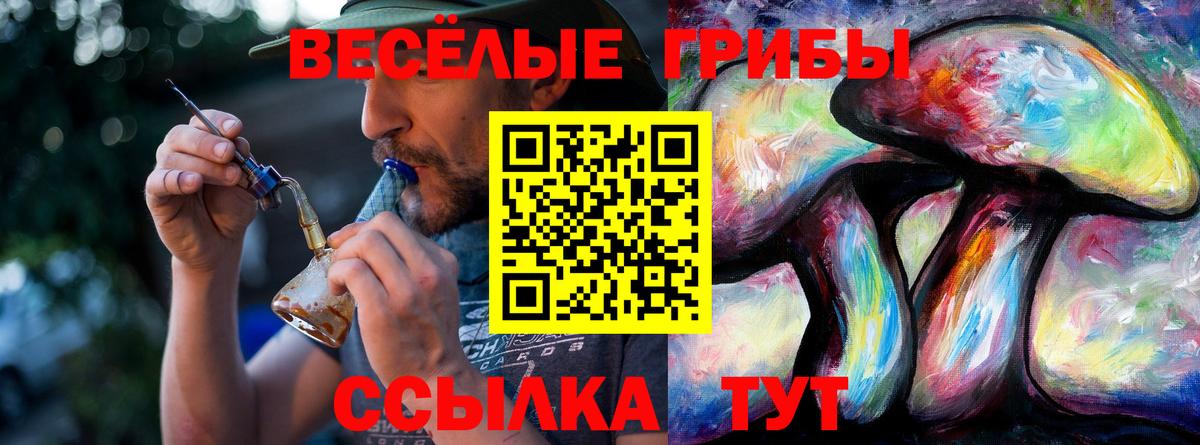 Галлюциногенные грибы Psilocybe Хабаровск